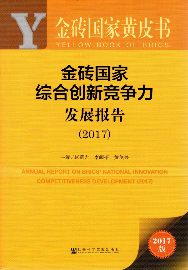 国产30岁骚女人日B免费视频金砖国家综合创新竞争力发展报告（2017）